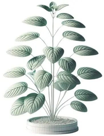 Mentha (Peppermint Oil) Mentha (Peppermint Oil)