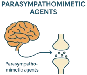Parasympathomimetic agents Parasympathomimetic agents