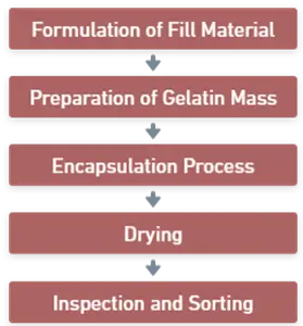 Production of soft gelatin capsules