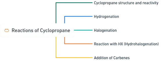 Reactions of Cyclobutene