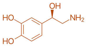 Norepinephrine Structure 
