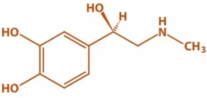 Structure Epinephrine 