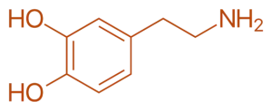 Dopamine Structure 
