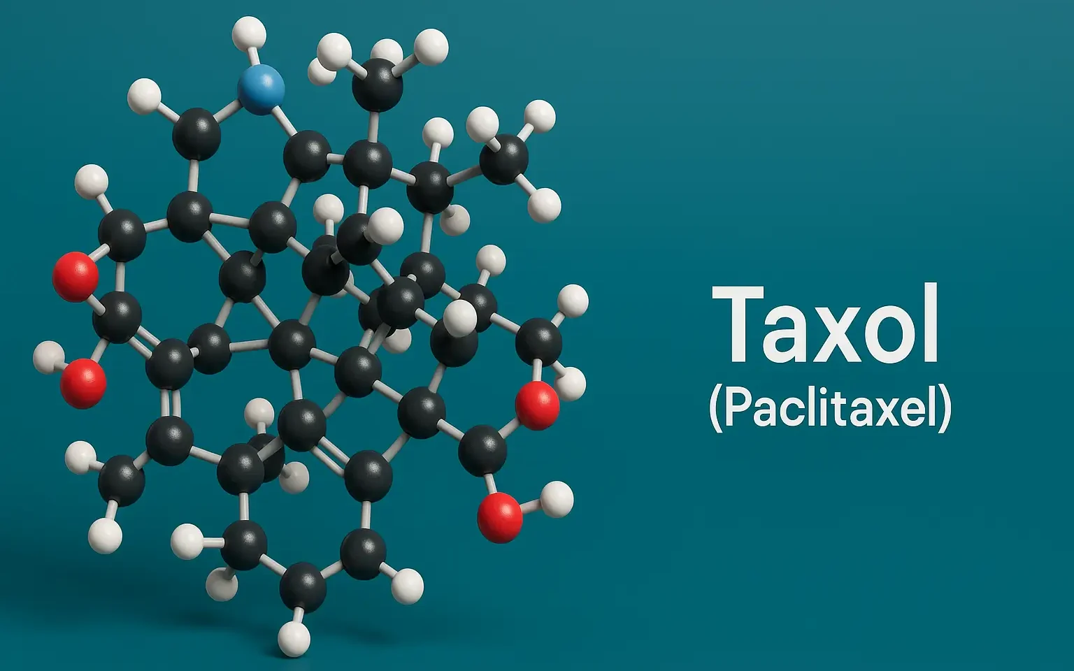 Taxol (Paclitaxel)