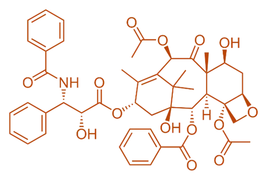 Structure of Taxol (Paclitaxel) Structure of Taxol (Paclitaxel)