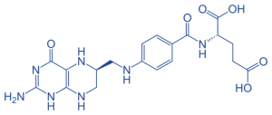 Tetrahydrofolate (THF) of Coenzymes