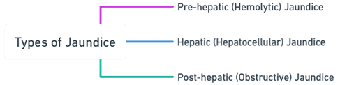 Types of Jaundice Types of Jaundice