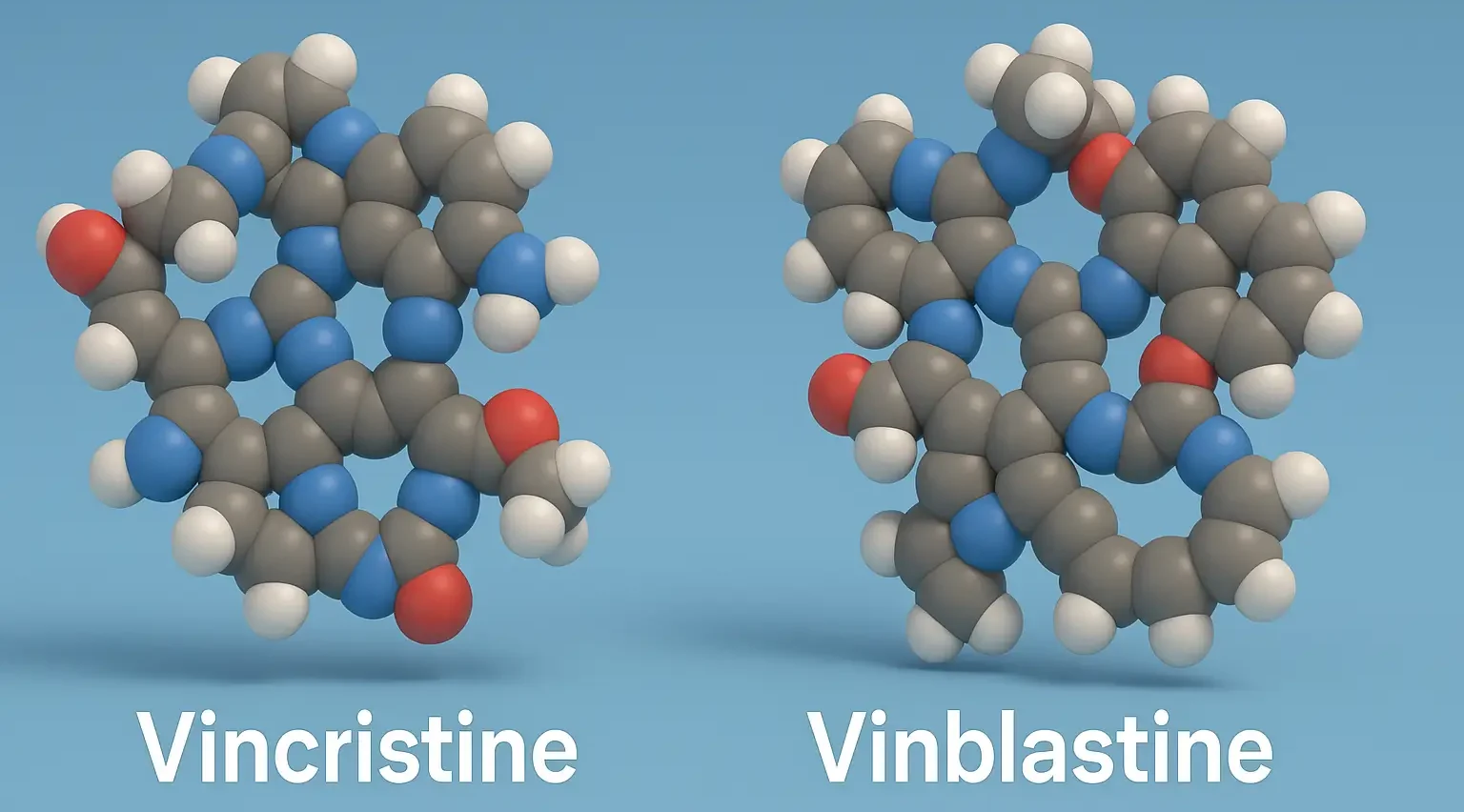Vincristine and Vinblastine