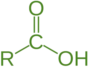carboxyl group carboxyl group