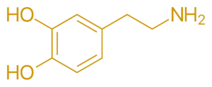 dopamine dopamine