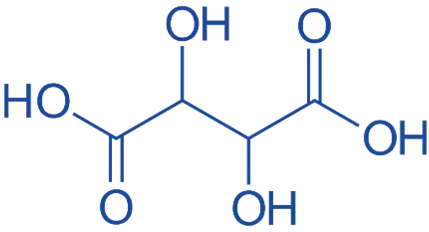 Citric Acid four-carbon chain 