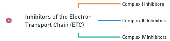 inhibitors of the Electron Transport Chain (ETC) inhibitors of the Electron Transport Chain (ETC)