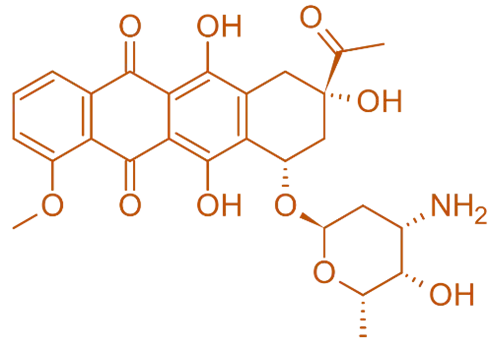 structure of Daunorubicin structure of Daunorubicin