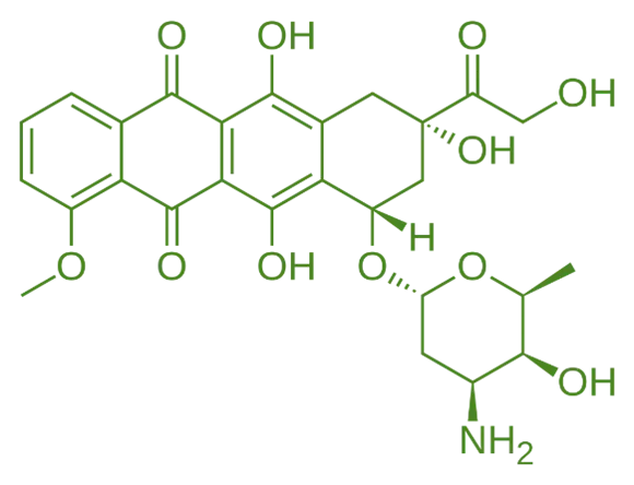 structure of Doxorubicin