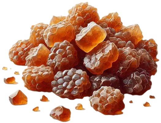 Acacia (Gum Arabic)