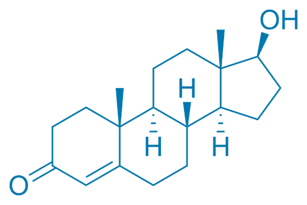 Structure of Anabolic Steroids