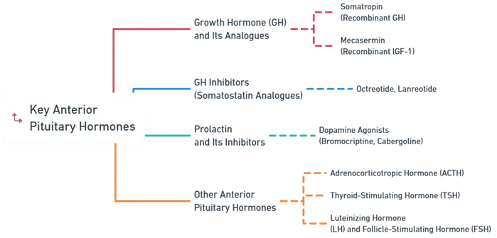 Anterior Pituitary Hormones Anterior Pituitary Hormones