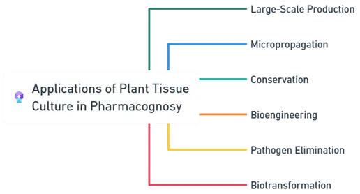 Applications of Plant Tissue Culture in Pharmacognosy