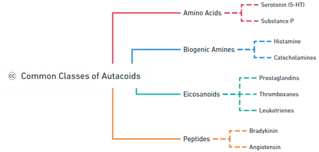 Introduction to Autacoids Introduction to Autacoids