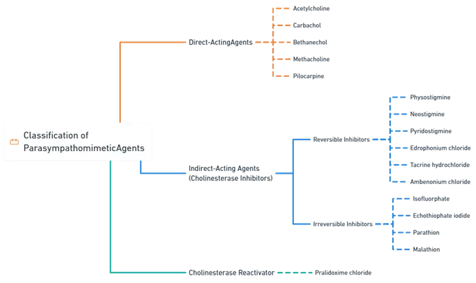 Classification of Cholinergic Blocking Agents