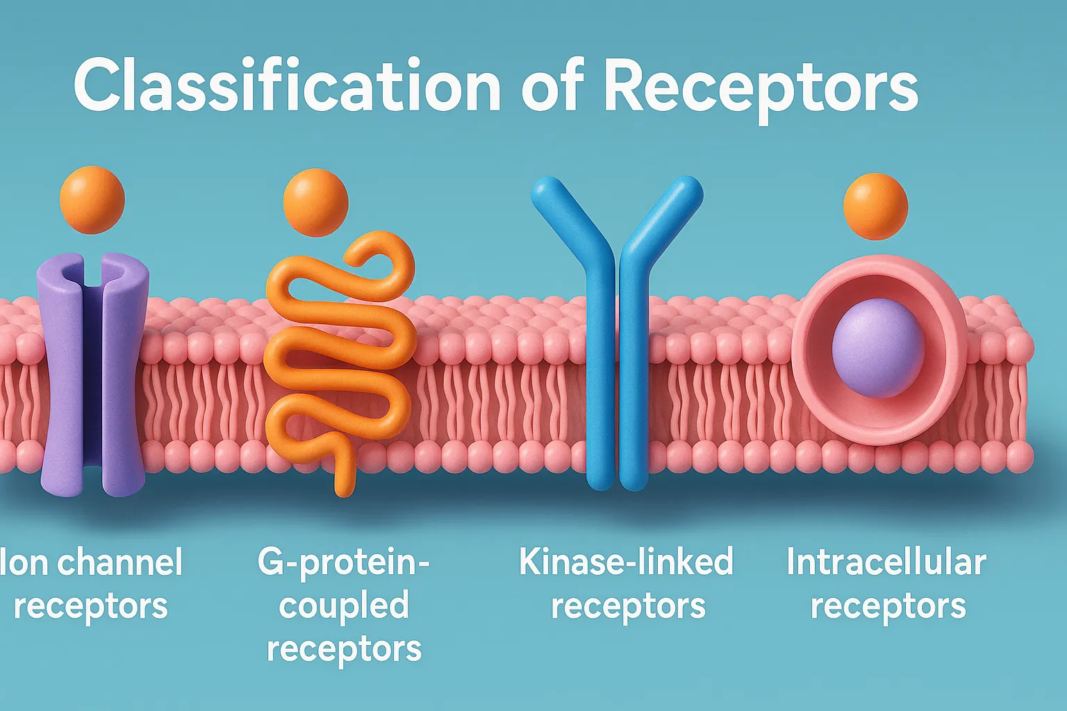Classification of Receptors