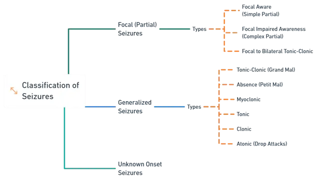 Classification of Seizures