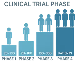 Clinical Trial Phase