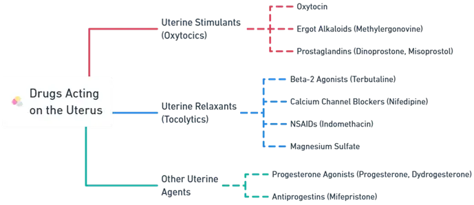 Drugs Acting on the Uterus Drugs Acting on the Uterus