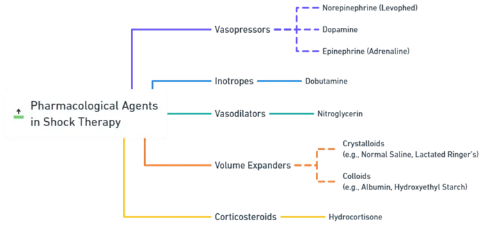 Drugs Used in the Therapy of Shock