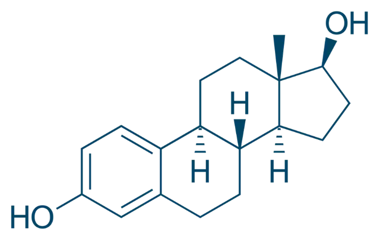 Structure of Estrogens Structure of Estrogens