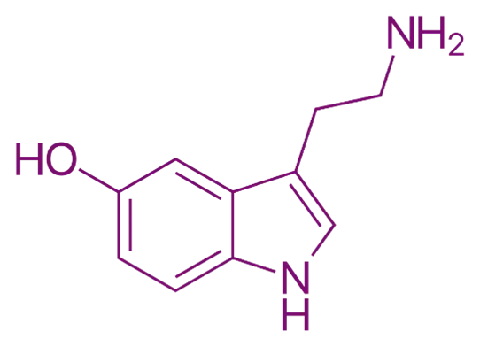 5-HT (5-Hydroxytryptamine) (Serotonin) 5-HT (5-Hydroxytryptamine) (Serotonin)