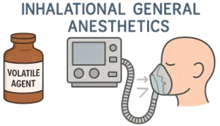 Inhalational General Anesthetics