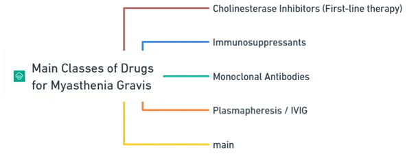 Main Classes of Drugs