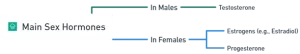 Main Sex Hormones