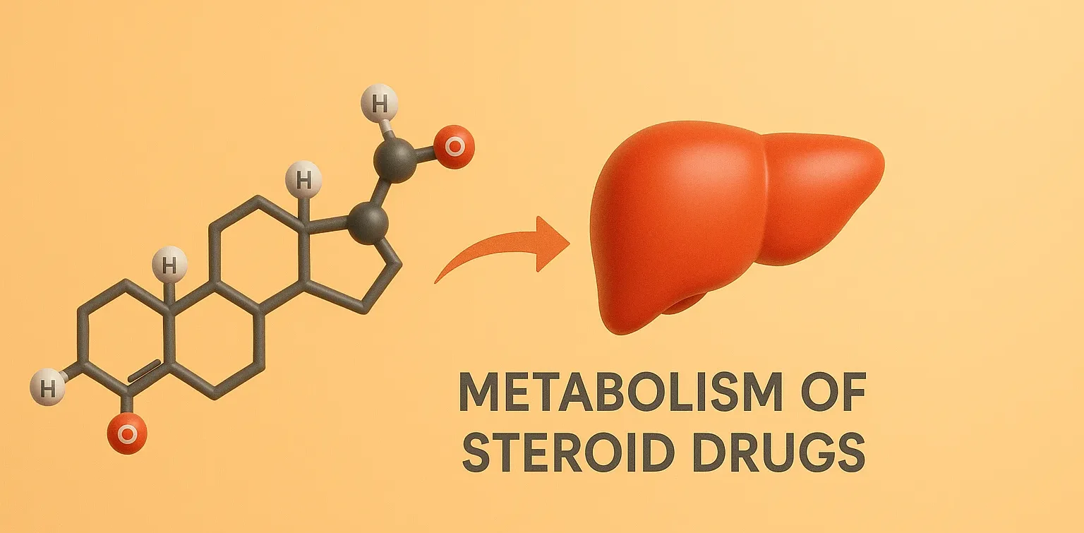 Metabolism of Steroid Drugs