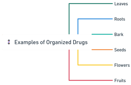 Organized Drugs Organized Drugs