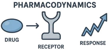 Pharmacodynamics