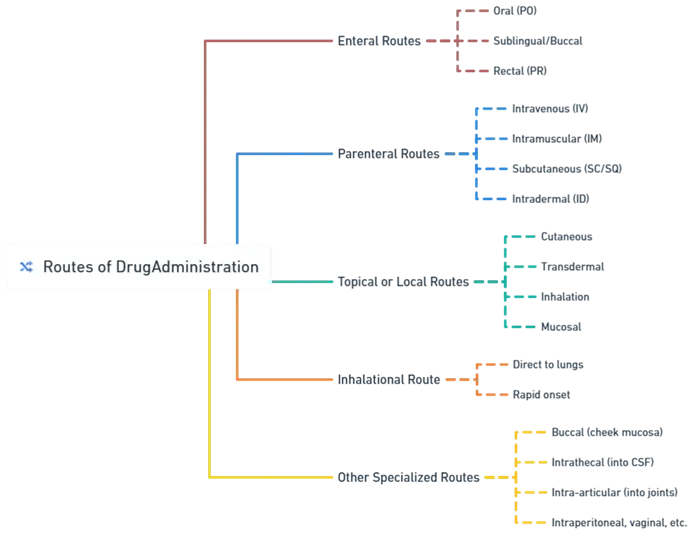 Routes of Drug Administration