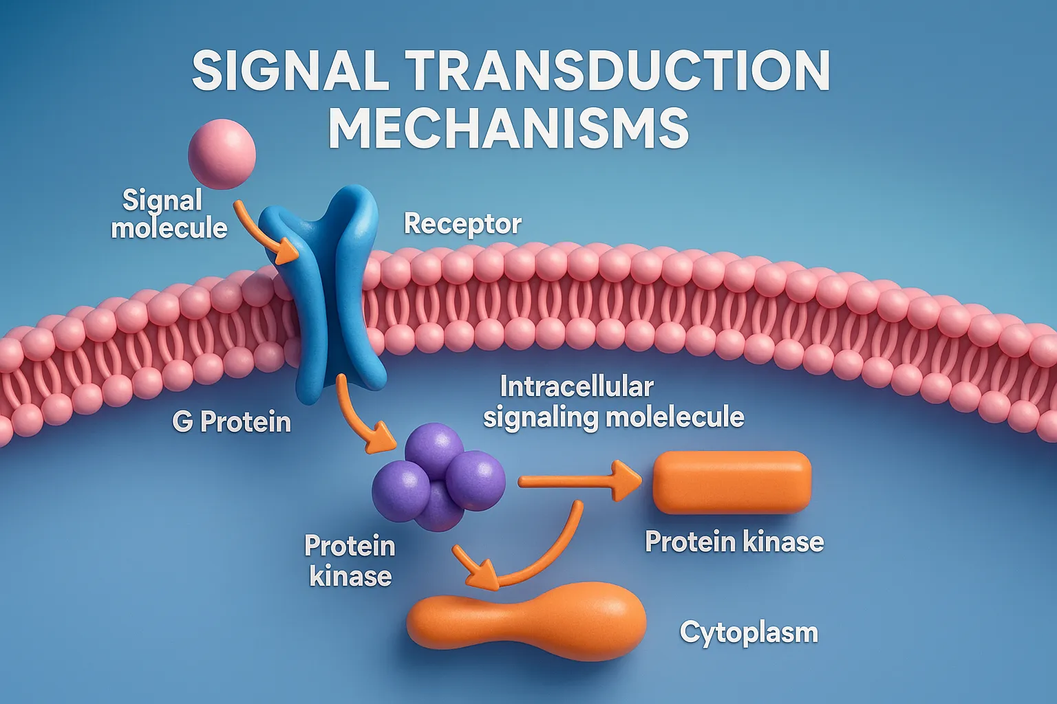 Signal Transduction Mechanisms