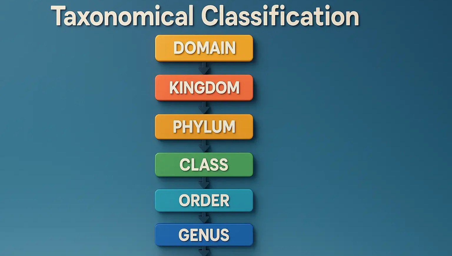 Taxonomical Classification
