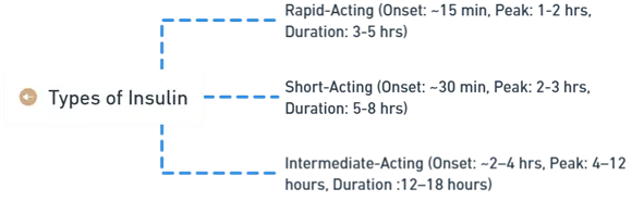 Types of Insulin