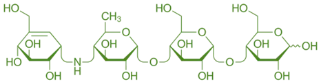Structure of Acarbose Structure of Acarbose