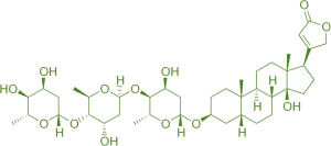 Structure of Digitoxin Structure of Digitoxin