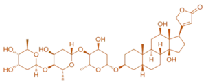 Structure of Digoxin Structure of Digoxin