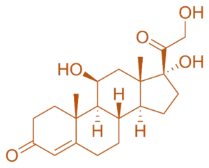 Structure of Hydrocortisone Structure of Hydrocortisone