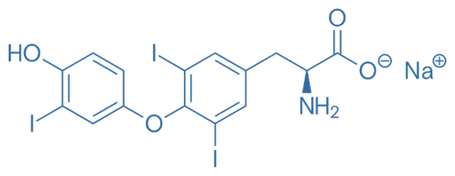 Structure of L-Thyronine Structure of L-Thyronine