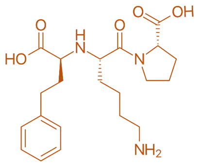 Structure of Lisinopril Structure of Lisinopril