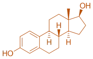 Structure of Oestradiol