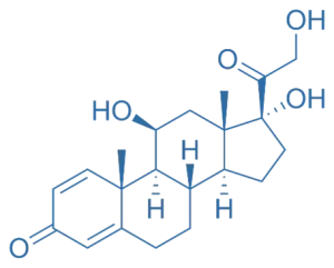 Structure of Prednisolone Structure of Prednisolone