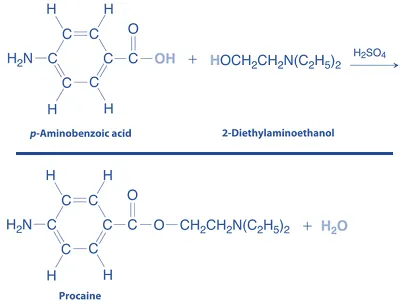 Synthesis of Procaine